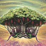 Sunavalon Dryanome