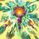 Sunavalon Glorious Growth